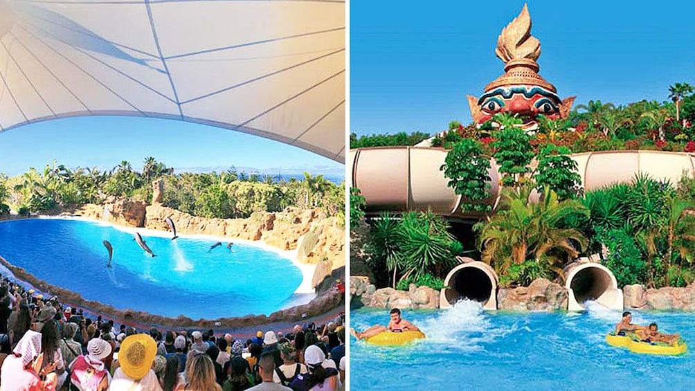 Indlæs billede 1 af 5. Combo image of amusement parks in Tenerife