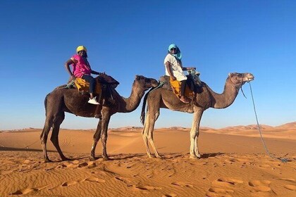 Merzouga Camel Ride Overnight stay in Desert Camp Erg chebbi