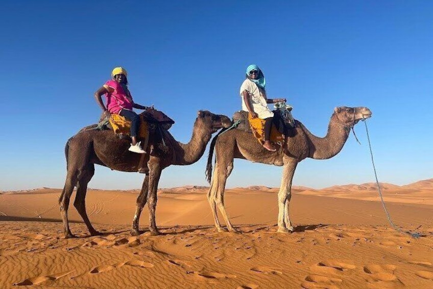 Merzouga Camel Ride Overnight stay in Desert Camp Erg chebbi 