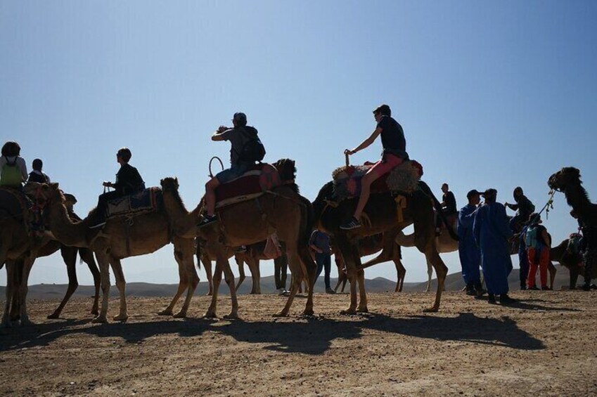 Shared Small group Day Trip to Agafay Desert & Camel Ride