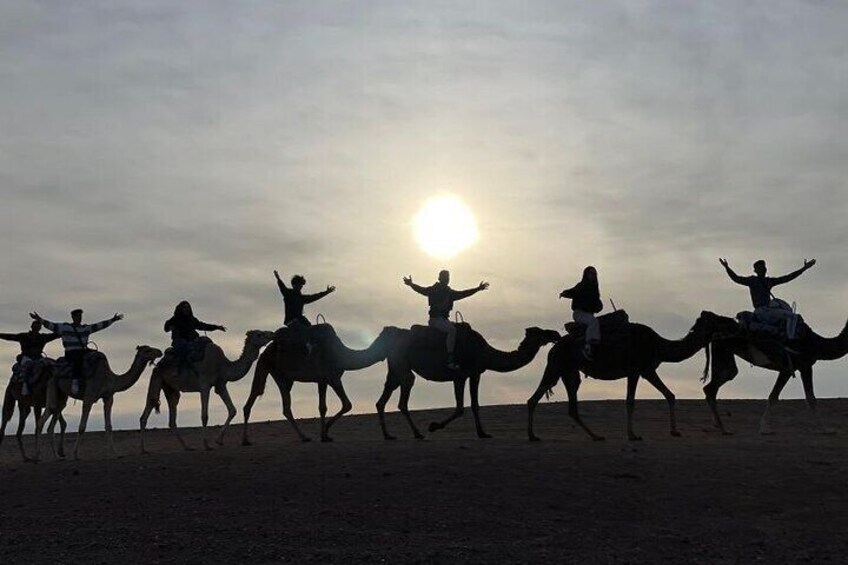 Marrakech: Agafay Desert Dinner Show and Sunset Camel Ride