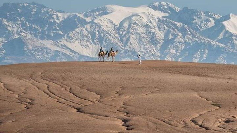 Agafay Desert and Atlas Mountains Day Trip with a Guide