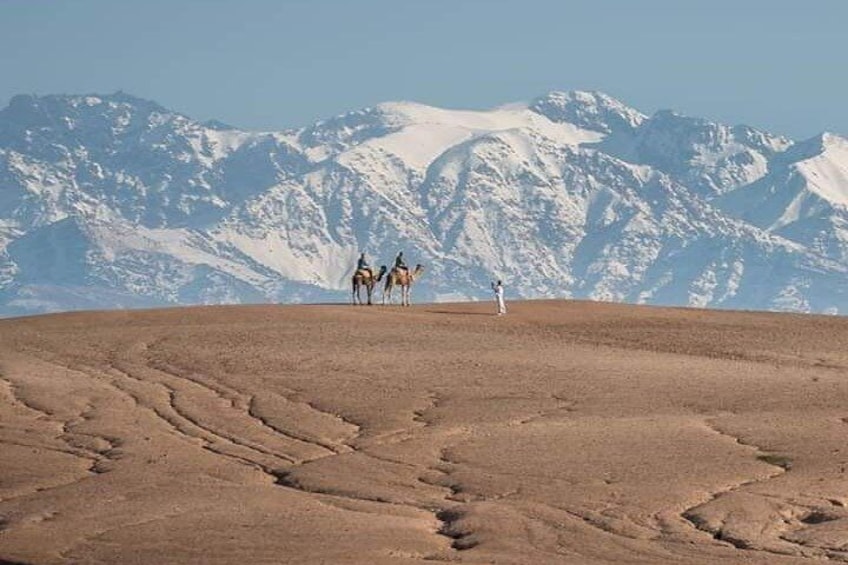 Agafay Desert and Atlas Mountains Day Trip with a Guide
