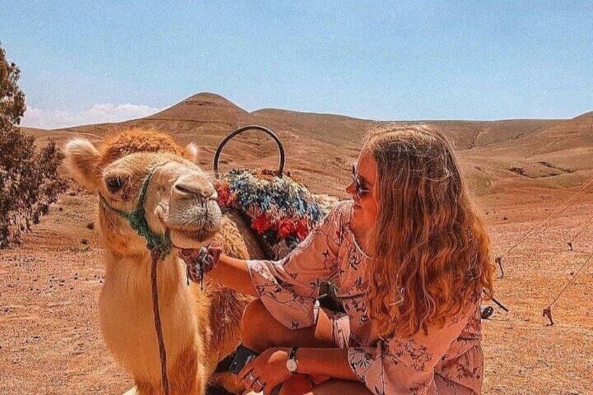 Marrakech: Agafay Desert Dinner Show and Sunset Camel Ride