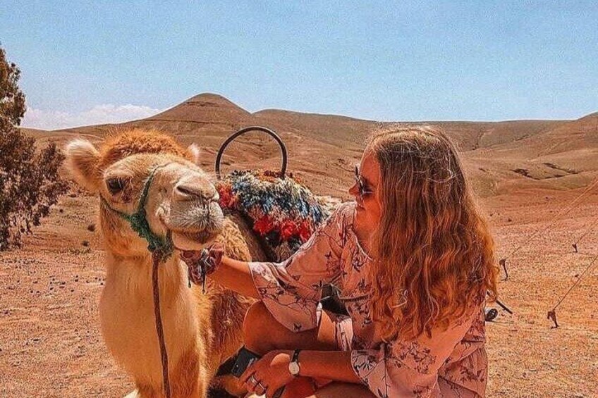 Marrakech: Agafay Desert Dinner Show and Sunset Camel Ride