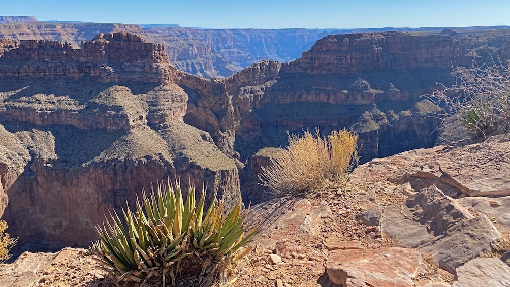 Grand Canyon Flight, Skywalk & Colorado River Cruise