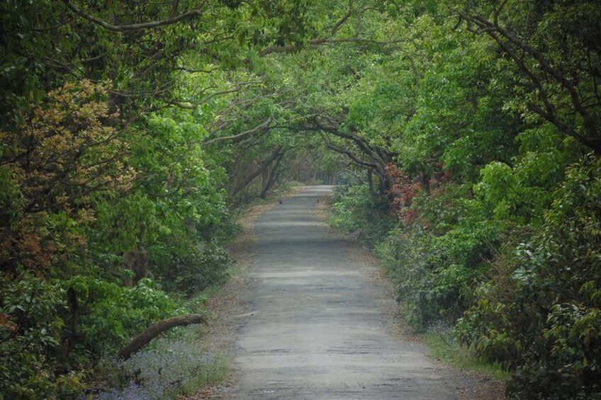 Pilibhit Tiger Reserve from Delhi