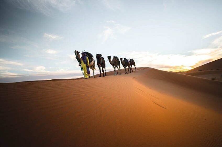 Marrakech, Essaouira and Merzouga Desert to Fes - 6 Days