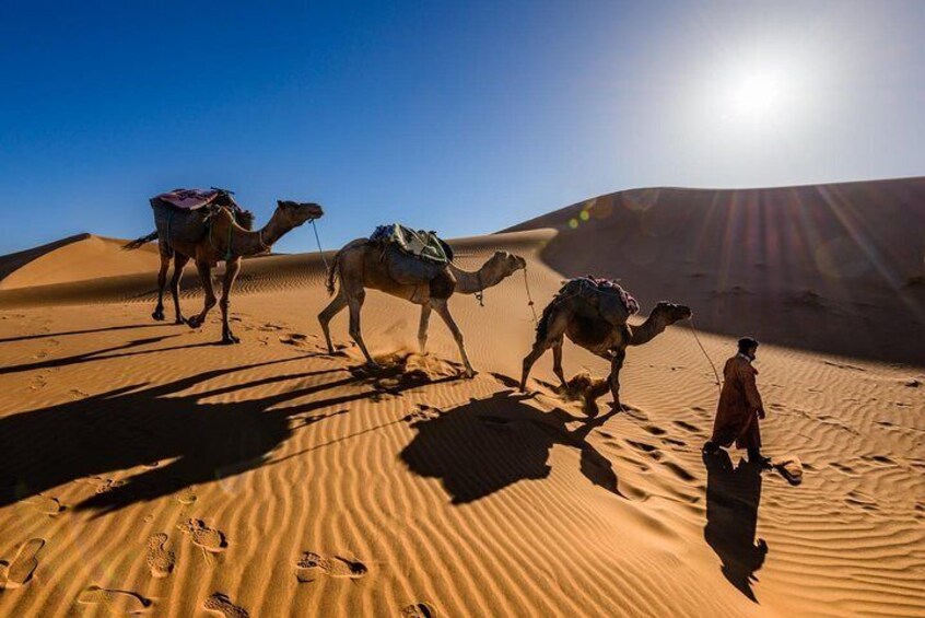 Marrakech, Essaouira and Merzouga Desert to Fes - 6 Days