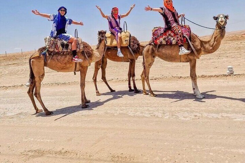 Live the Nomad life in Agafay Desert & dinner and camel ride