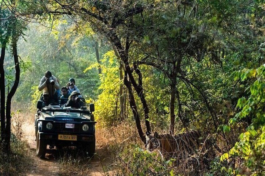 Ranthambore National Park