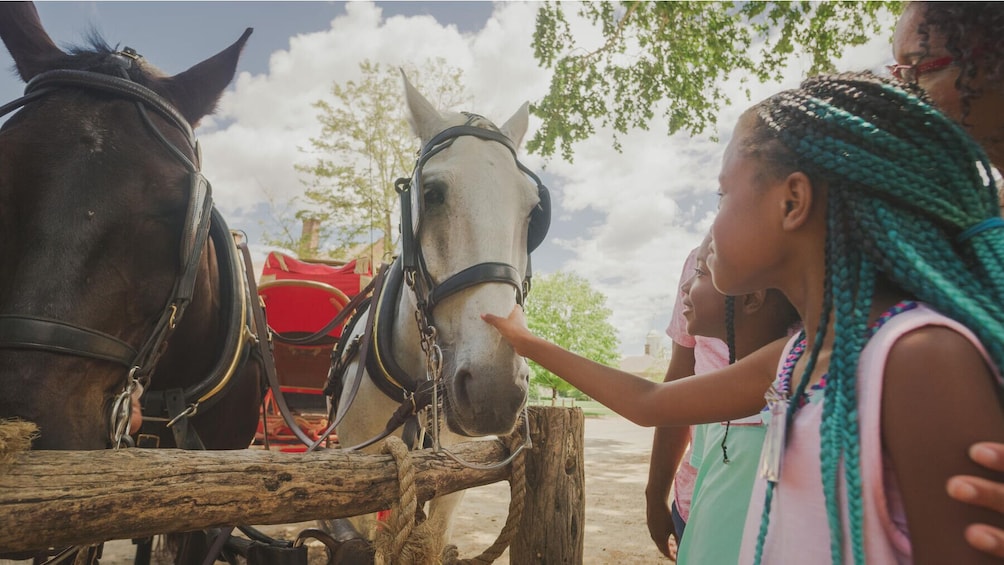 Colonial Williamsburg Single Day Admission