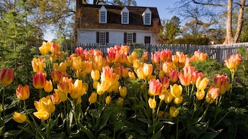 Colonial Williamsburg: The Revolutionary City