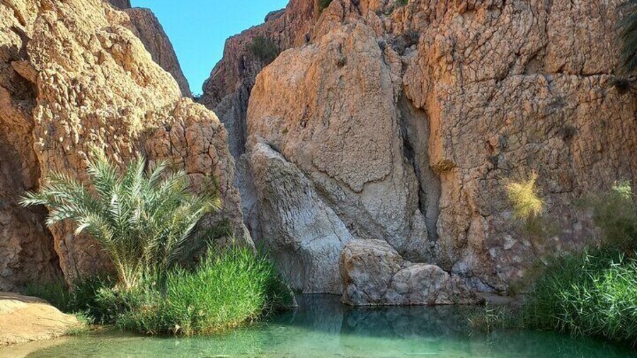 3-Day 2-Night SAHARA Tour South Tunisia Splendors DOUZ and TOZEUR
