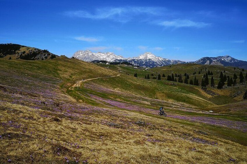 Velika Planina Mountain Biking