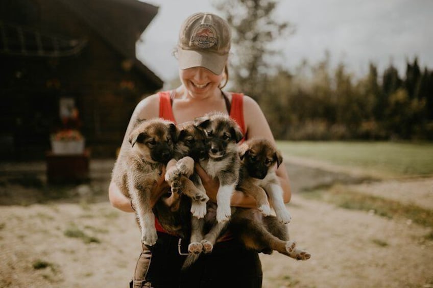 Meet the adorable puppies of Trail Breaker