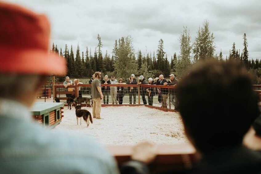 Our experienced guides will share what it's like to race in the 1,000-mile Iditarod and Yukon Quest
