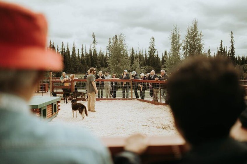 Our experienced guides will share what it's like to race in the 1,000-mile Iditarod and Yukon Quest