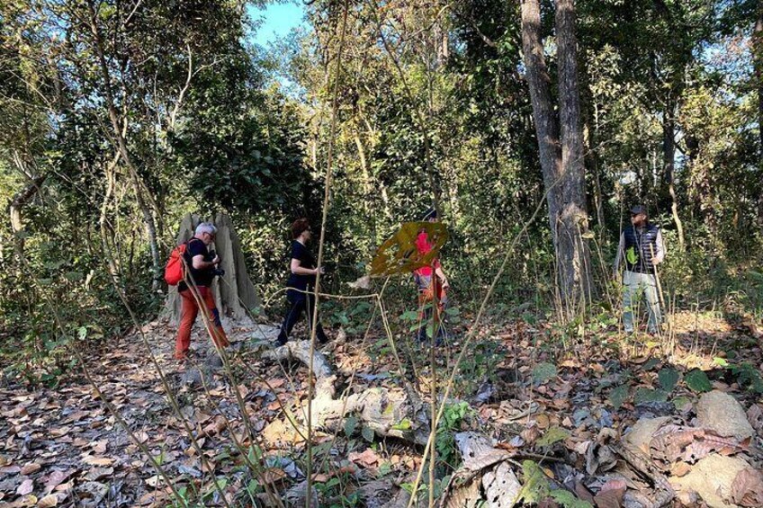 Nature Walk in Chitwan National Park