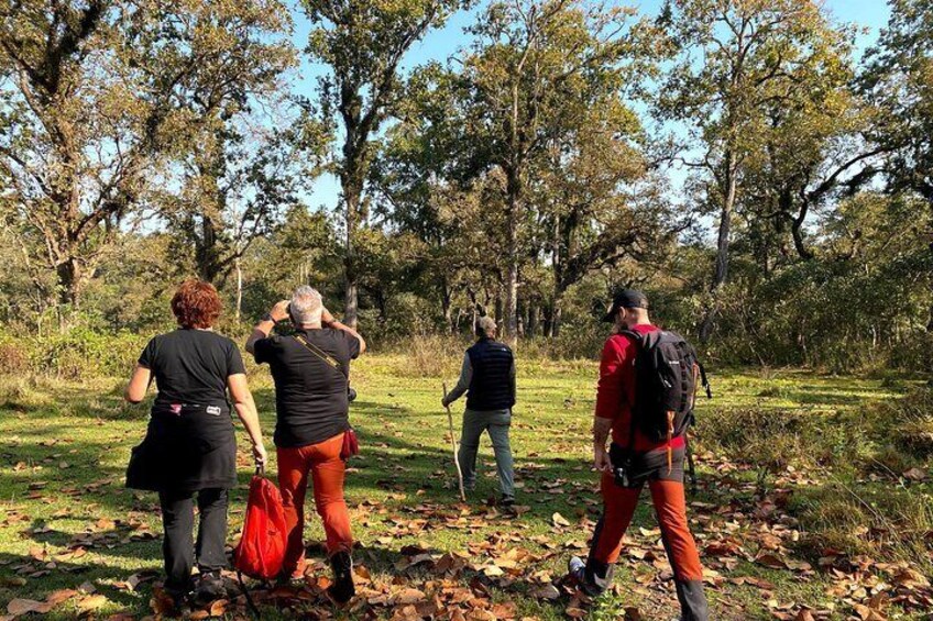 Nature Walk in Chitwan National Park