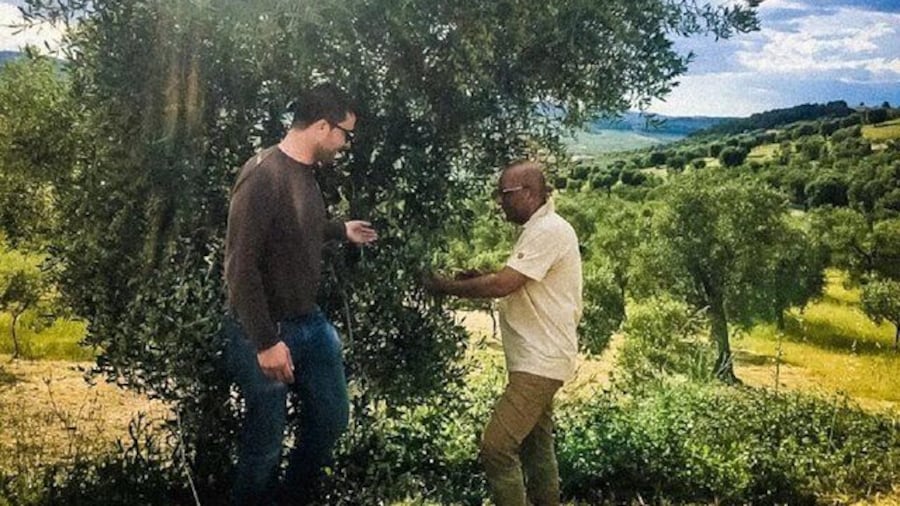 Discovering extra virgin olive oil