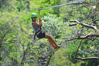 Private Zipline Tour, Nature Walk, French Speaking Guide & Gastronomy