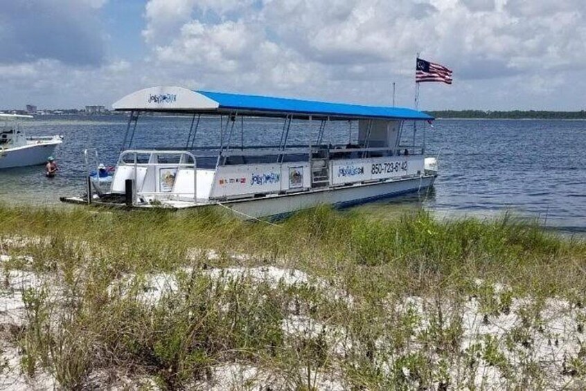 3 Hour Private Powerboat Dolphin Cruise with Remote Beach Stop up to 15 guests