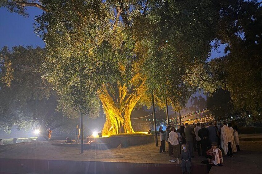 Full Day Lumbini Tour