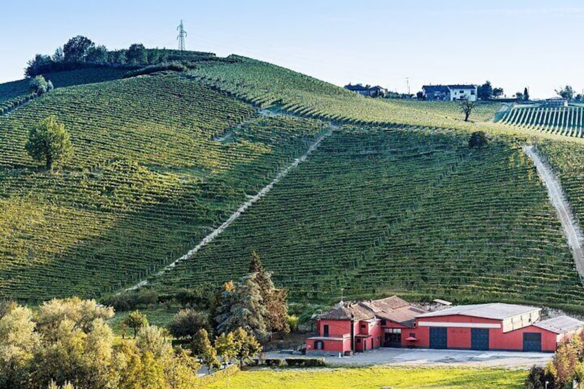 Monferrato (Asti province): Barbera Wine Tasting Experience