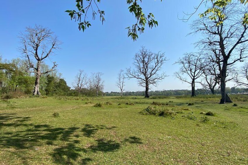 Canoeing and Nature Walk in Chitwan National Park