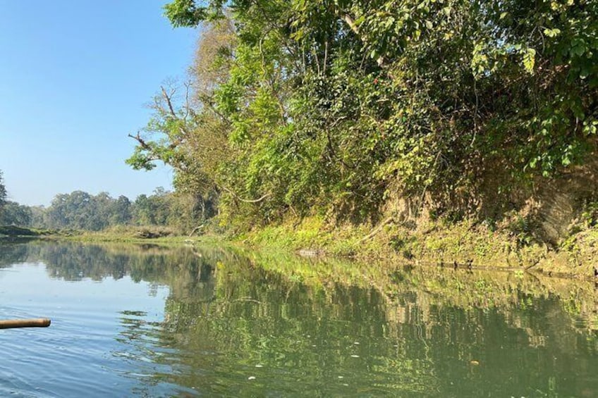 Show item 3 of 8. Canoeing and Nature Walk in Chitwan National Park
