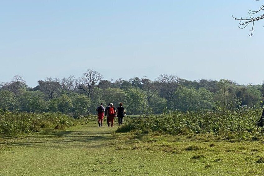 Canoeing and Nature Walk in Chitwan National Park