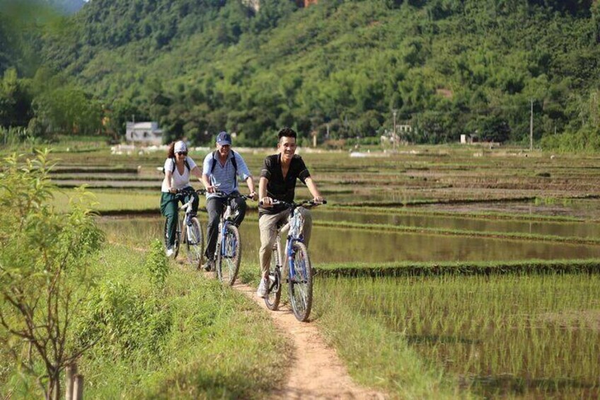 Vietnam Top Day Trips All-Inclusive, Bus, Guide, Meals & Activities