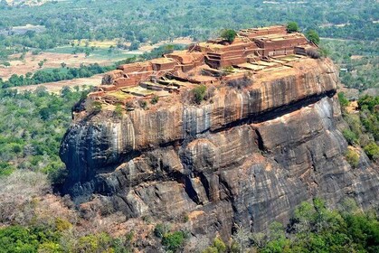 Sigiriya Rock Fortress and Cave Temples Private Full-Day Tour