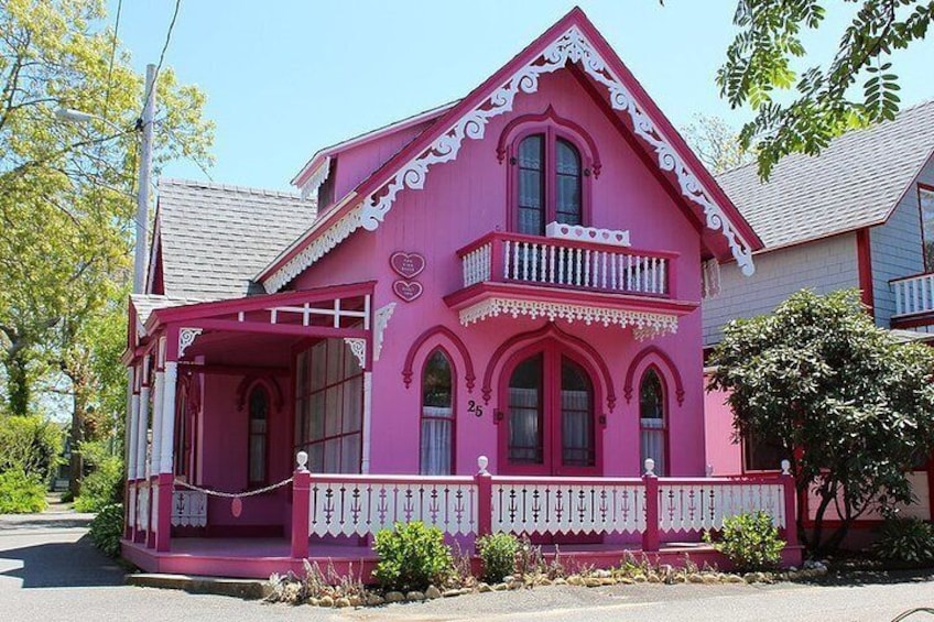 The Pink House