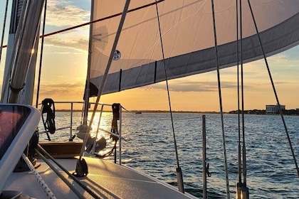 Private Luxury Sailing Charters, BYOB & Dolphins