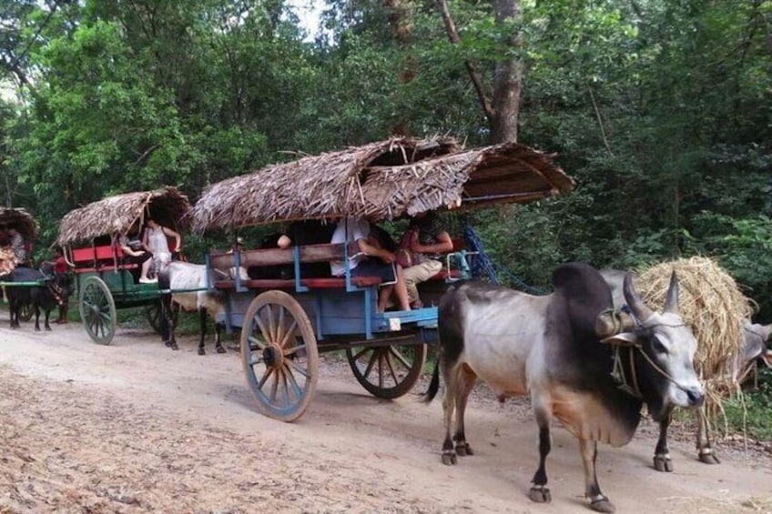 Small Group Sigiriya Village Tour with Typical Lunch