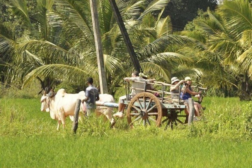 Small Group Sigiriya Village Tour with Typical Lunch