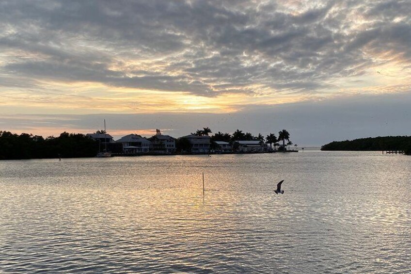 Sunset Sail