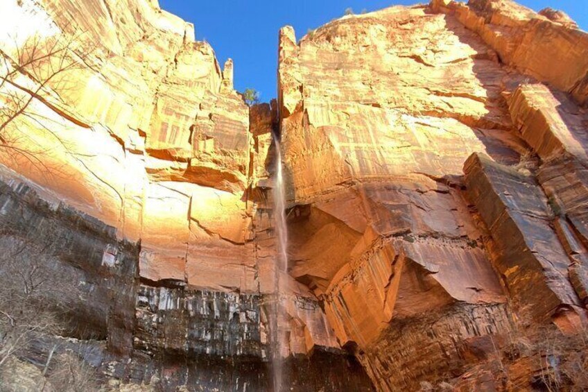 Private Guided Hike in Zion National Park with Gourmet Picnic