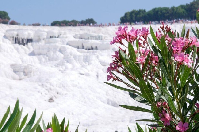 White Cliffs of Pamukkale