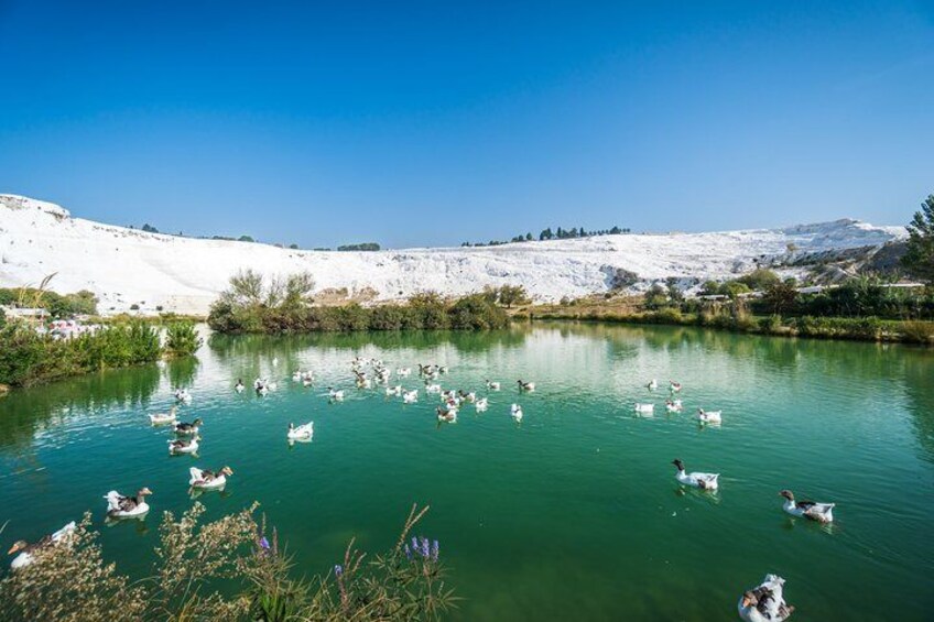 Pamukkale Day Tour from Selcuk