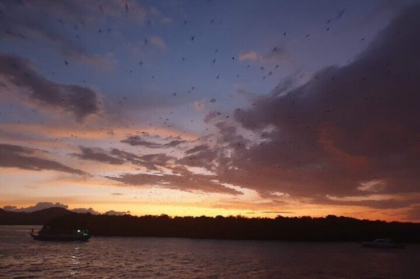 Half Day Sunset Komodo Dragon Tour: Rinca island,Kelor,Menjerite & Kalong island