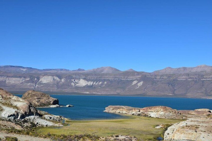 Excursion to Posadas Lake and Pueyrredón - Santa Cruz