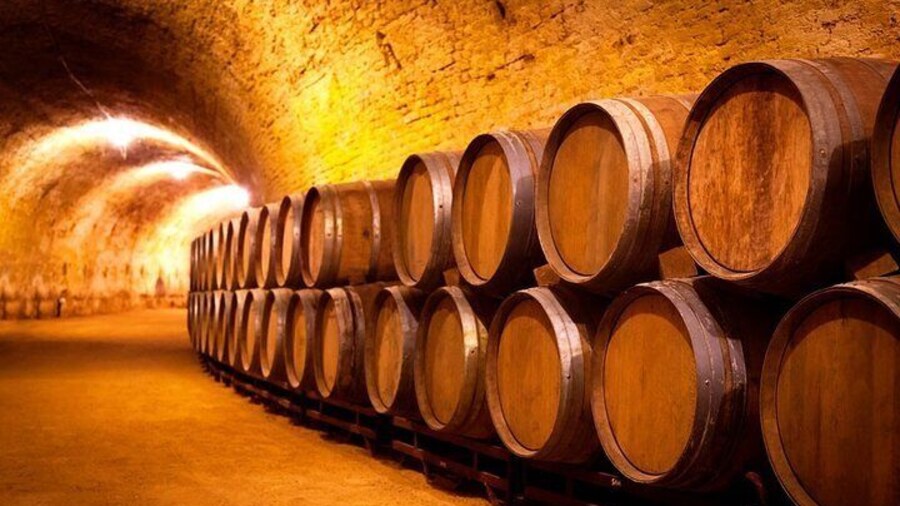 bodegas