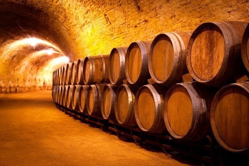 bodegas