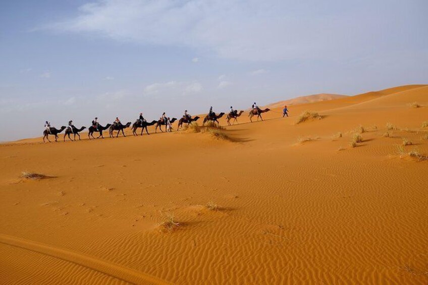 Merzouga - Camel trek 
