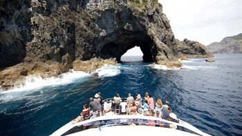 Full-Day Bay of Islands Dolphin Cruise with Hole in the Rock Visit