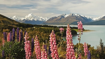 Mount Cook Day Tour: Christchurch to Queenstown