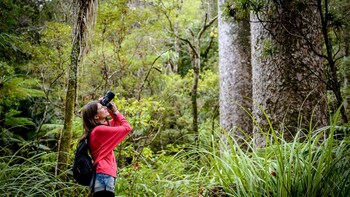 Historical Kerikeri Tour with Wine Tasting & Chocolate